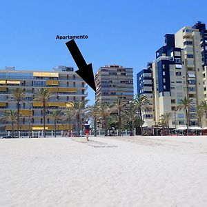 Tortuga Flat